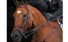 Addio a Cos I Can / "Così"