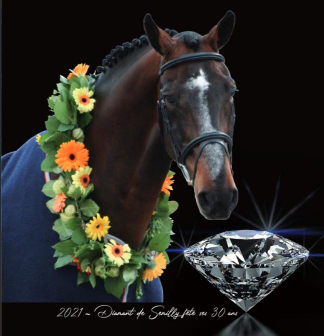 Diamant de Semilly ha festeggiato il 30° compleanno! 1