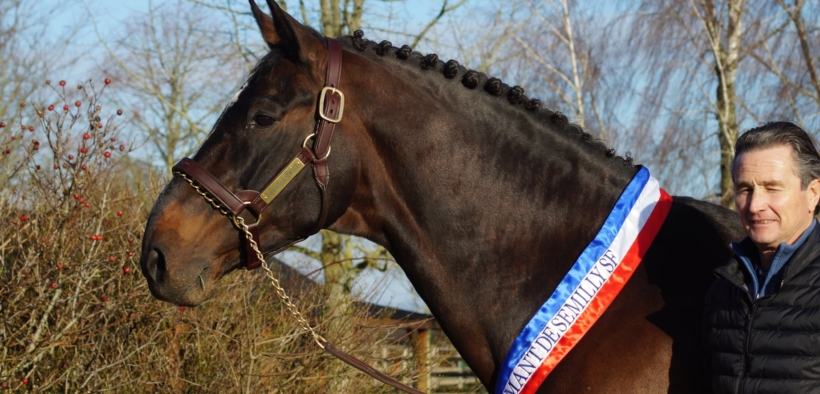 Diamant de Semilly ha festeggiato il 30° compleanno! 2