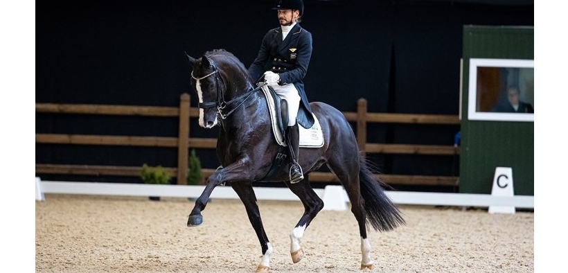 Dressage: i figli di Totilas debuttano in GP, orgoglio del padre! 1