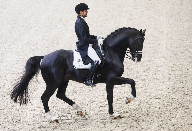 Dressage: i figli di Totilas debuttano in GP, orgoglio del padre!