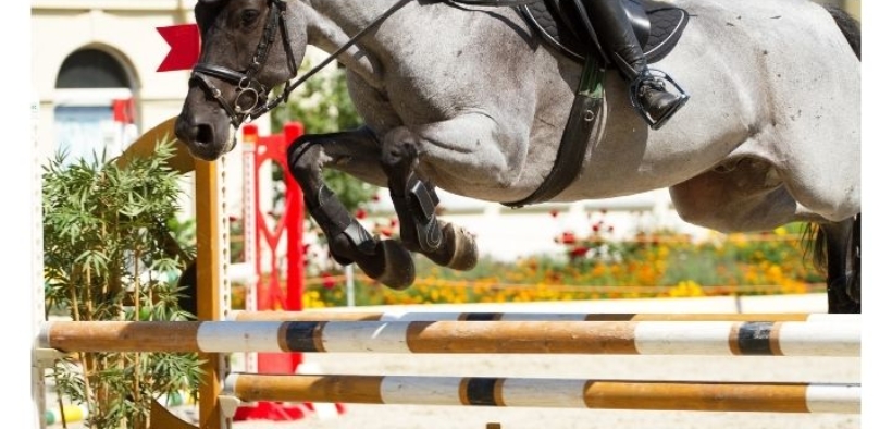 Ecco le città ospitanti i Campionati Giovanili FEI 2021/22