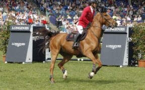 Picsou du Chên ritirato dallo sport