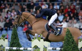 Rest in peace, Butterfly Flip