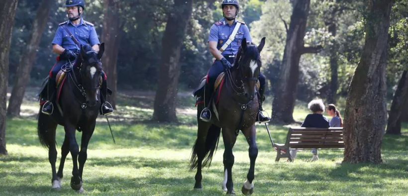Adotta un cavallo dell'Arma dei Carabinieri