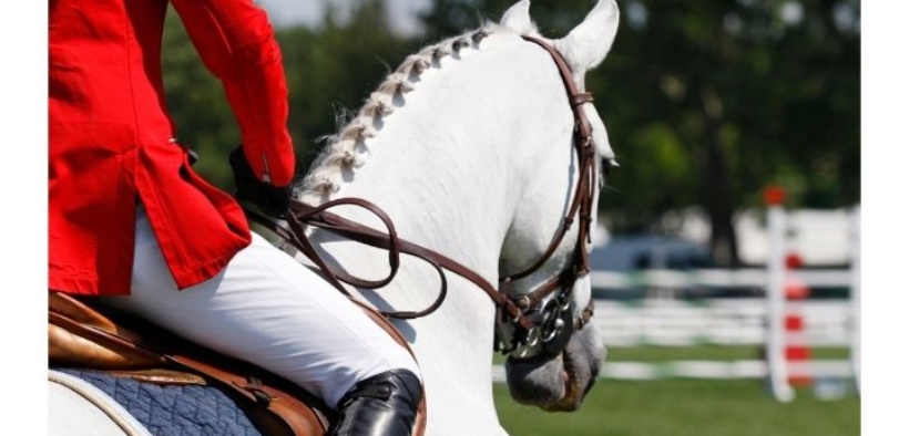 Assegnate le sedi per la Finale Youth Jumping Nations Cup e l'Europeo di Completo