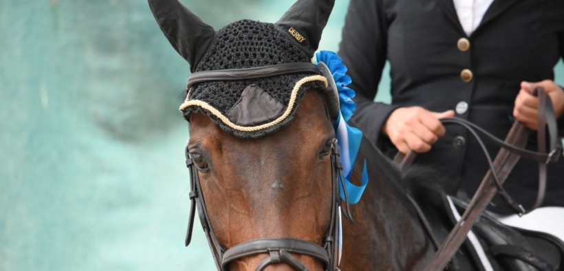 La figura del "cavallo atleta" è ufficialmente riconosciuta dallo Stato Italiano