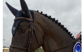 EHV-1, è morto anche un cavallo di Thomas Ryan. La FEI blocca tutti i presenti al Sunshine