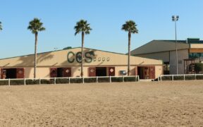 EHV-1 Valencia: i cavalli risultati negativi non possono lasciare la sede oggi