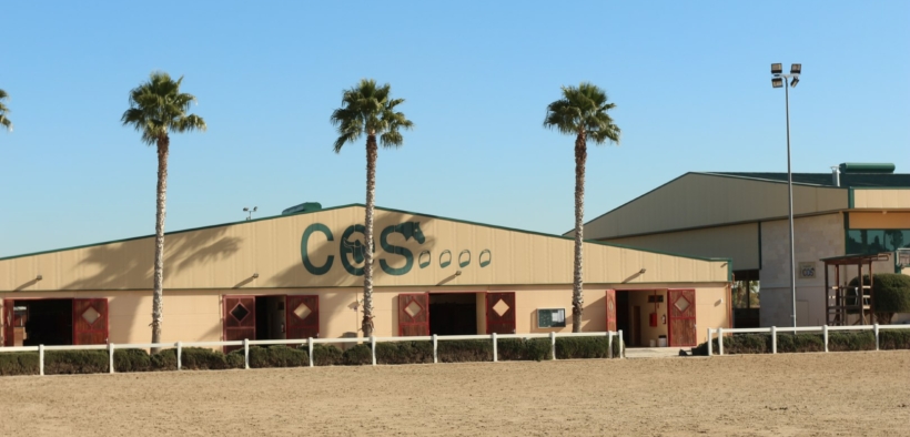 EHV-1 Valencia: i cavalli risultati negativi non possono lasciare la sede oggi