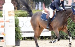 FEI: cancellati tutti i CSI in Europa fino al 28 marzo