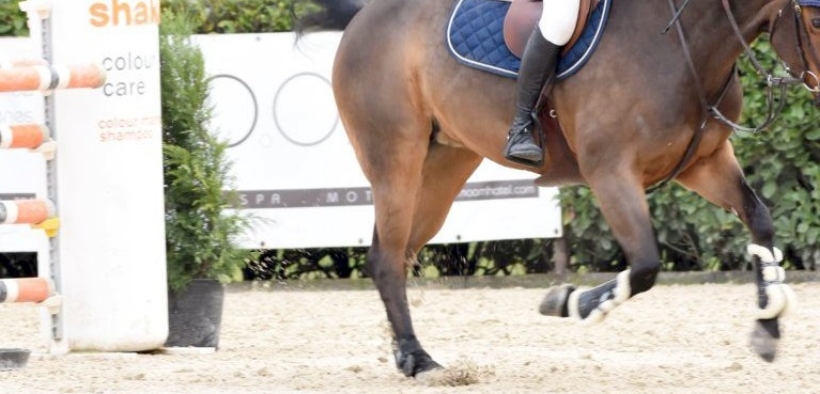 FEI: cancellati tutti i CSI in Europa fino al 28 marzo