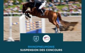 Herpes virus EHV1: la Francia sospende tutti i concorsi