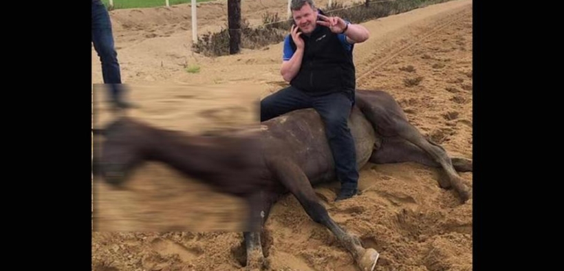 Le inaccettabili scuse del trainer britannico seduto sul cavallo morto