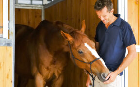 Luca Moneta a proposito del focolaio di Valencia: "Ora occorre responsabilità"