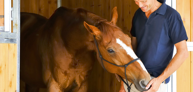 Luca Moneta a proposito del focolaio di Valencia: "Ora occorre responsabilità"