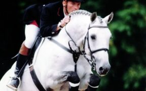 Addio allo stallone Claudio, prezioso figlio di Carthago