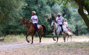 Campionati del mondo FEI Endurance: 90 binomi, 35 nazioni