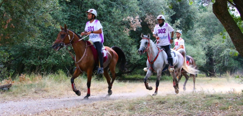 Campionati del mondo FEI Endurance: 90 binomi, 35 nazioni