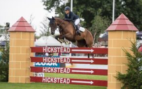 Coppa delle Nazioni / CSIO5*: annullato Hickstead
