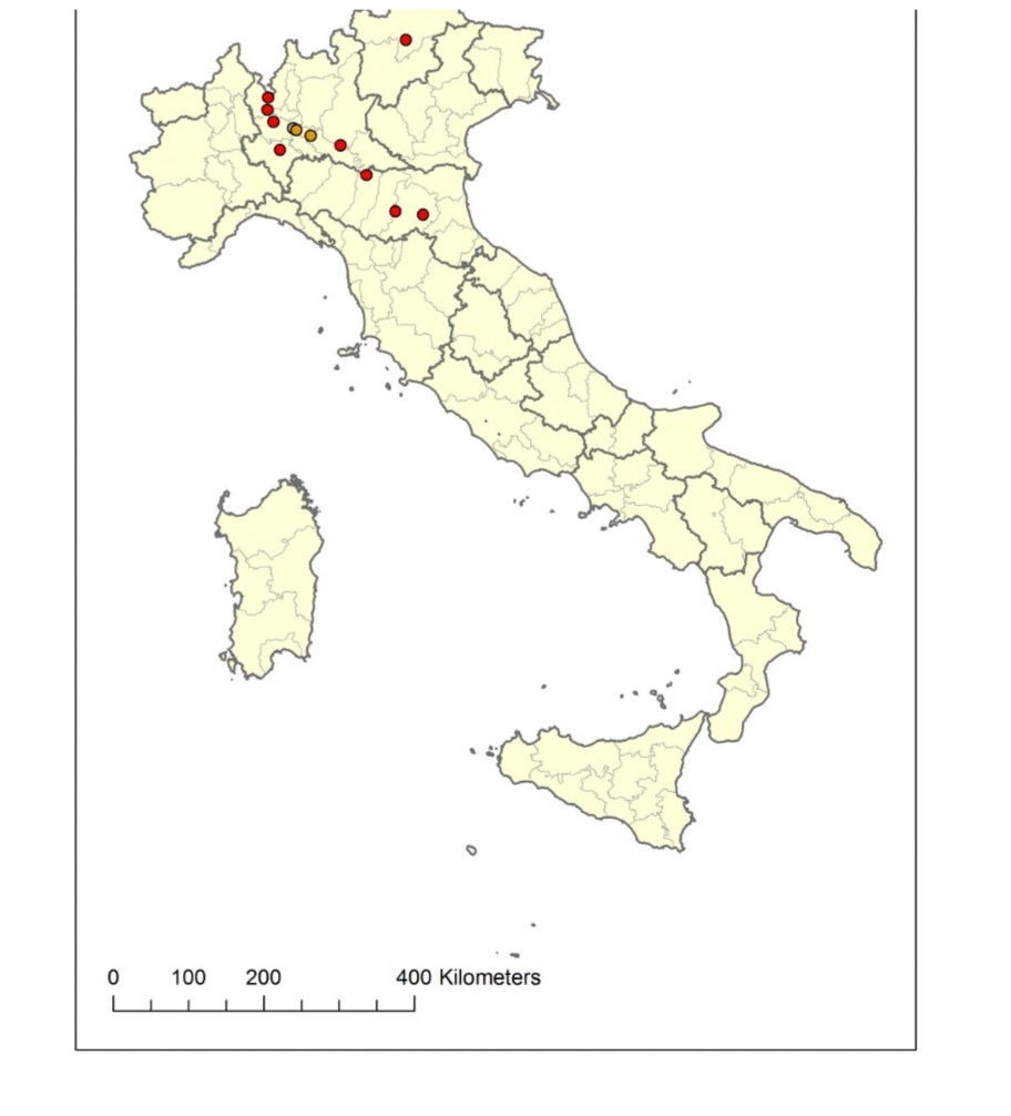 EHV-1 Italia, ultimi aggiornamenti sui casi ufficiali (14 aprile)