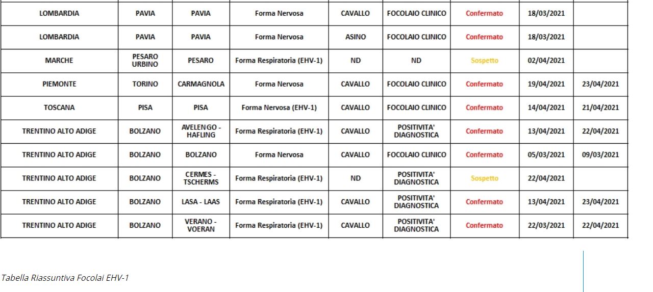 EHV-1 Italia, ultimi aggiornamenti sui casi ufficiali (28 aprile) 2