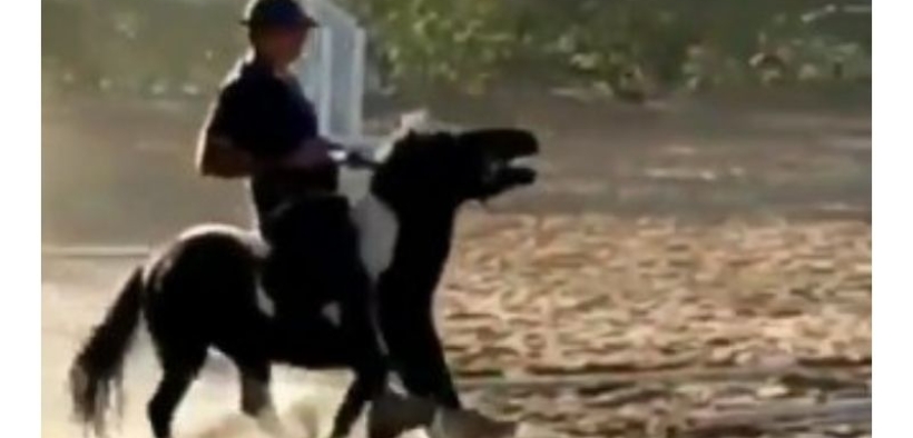 Il brasiliano Aparecido Da Silva sospeso per tre anni per abuso sui cavalli