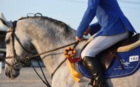 Imparare a "funzionare" con il libro "Equestrian Mental Coaching" di Giuliano de Crescenzo 1