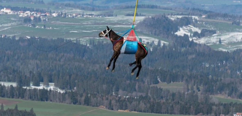 L'esercito elvetico inventa il cavallo volante