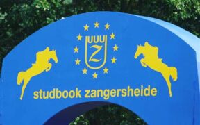 Misure anti EHV della FEI, cancellato anche lo Z-Tour 2021 - Lanaken