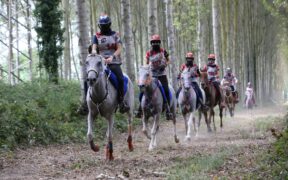 Prime Nazioni iscritte al Longines Fei Endurance World Championship 2021