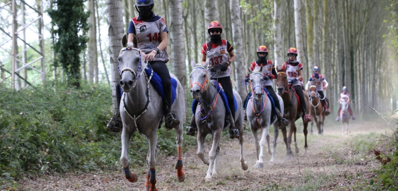 Prime Nazioni iscritte al Longines Fei Endurance World Championship 2021