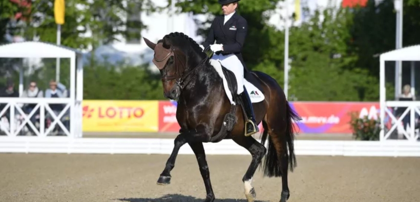 Tragedia in premiazione: muore Rock'n Rose di Dorothee Schneider 1