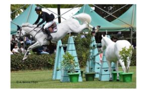 Piazza di Siena, ecco gli az