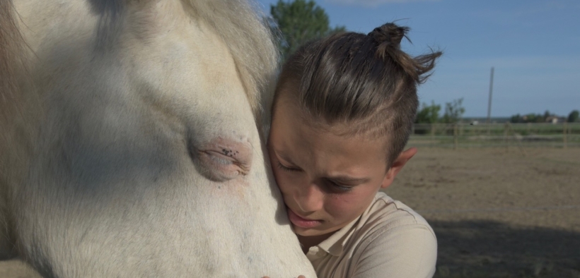 Covid-19: recupero emotivo dei bambini attraverso il cavallo