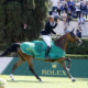 David Will trionfa nel Gran Premio Roma / Rolex Grand Prix. Giampiero Garofalo miglior azzurro