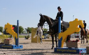 Grand Prix internazionali, ecco i podi (WEEK #21)