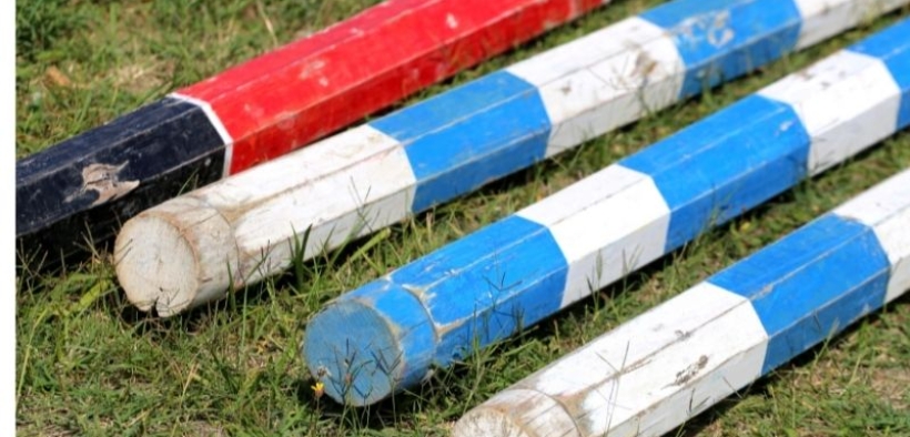 La Federazione tedesca indaga su alcuni casi di "sbarramento" di cavalli