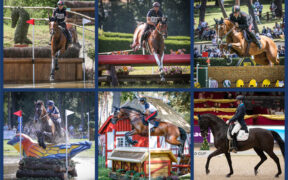 Bozza automatica 111