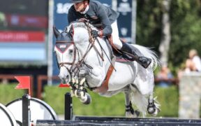 Garfield de Tiji: stop all'agonismo, solo per l'allevamento