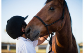 I mille volti dell'Horse Therapy, sempre più presente