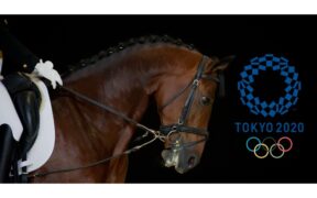 Tokyo 2020- Dressage: un binomio italiano andrà ai Giochi