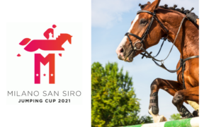 Bozza automatica 113