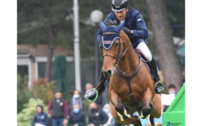 Bozza automatica 115