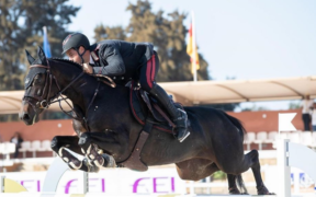 Bozza automatica 116