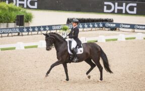 Bozza automatica 118