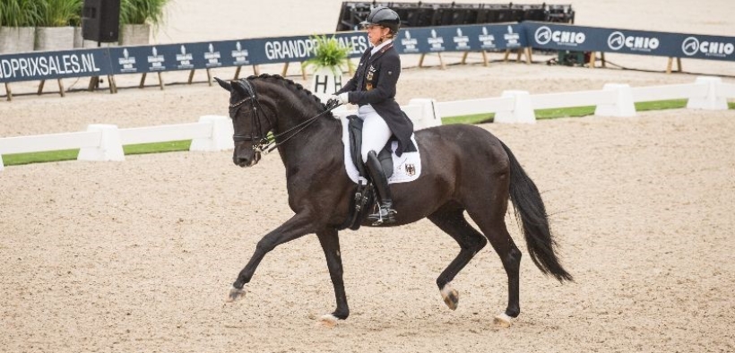 Bozza automatica 118