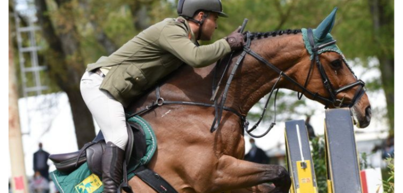 Bozza automatica 119