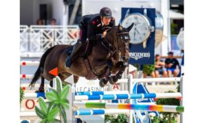 Bozza automatica 120