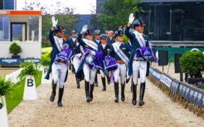 Bozza automatica 126